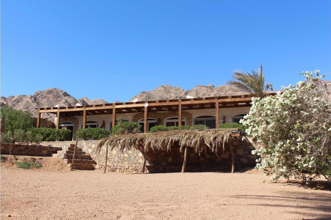 דהב Sea View At Canyon Estate מראה חיצוני תמונה